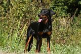 BEAUCERON 716